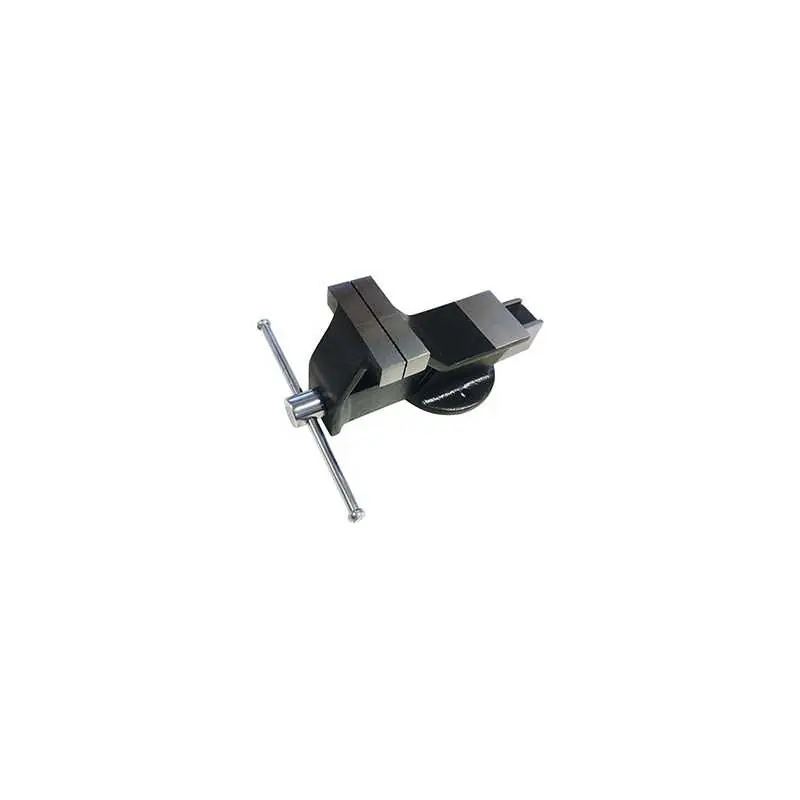 Shop Nu MORSE LIONS ACCIAIO 50307 MM. 80,Eur 22,72