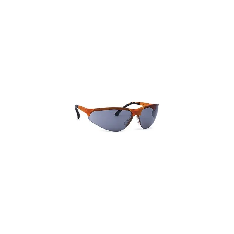 Populair OCCHIALI DI PROTEZIONE TERMINATOR 9383,Eur 9,48