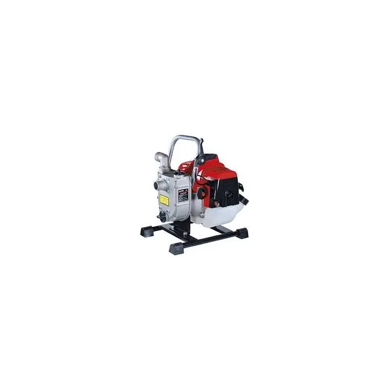 Must-Have MOTOPOMPE BLUEBIRD QGZ25-30N,Eur 170,02