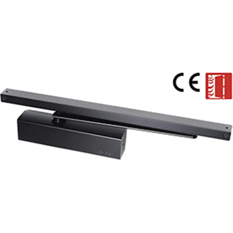 Snelle Levering CHIUDIPORTA CISA SLIT 2-4 C2110 NER
