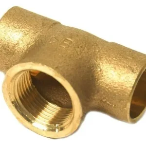 Premium Tes femmina bronzo 4000 Conex Bänninger Tes femmina bronzo 4000 Conex Bänninger Echome