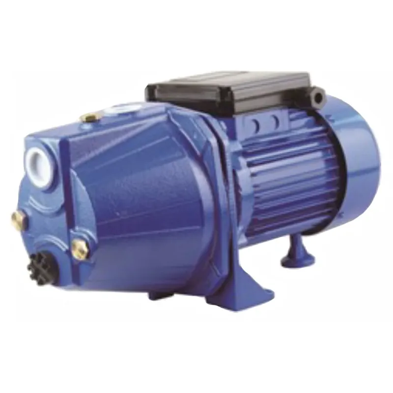 Elettropompe autoadescanti ghisa TC Elettropompe autoadescanti ghisa TC Echome Merkproduct