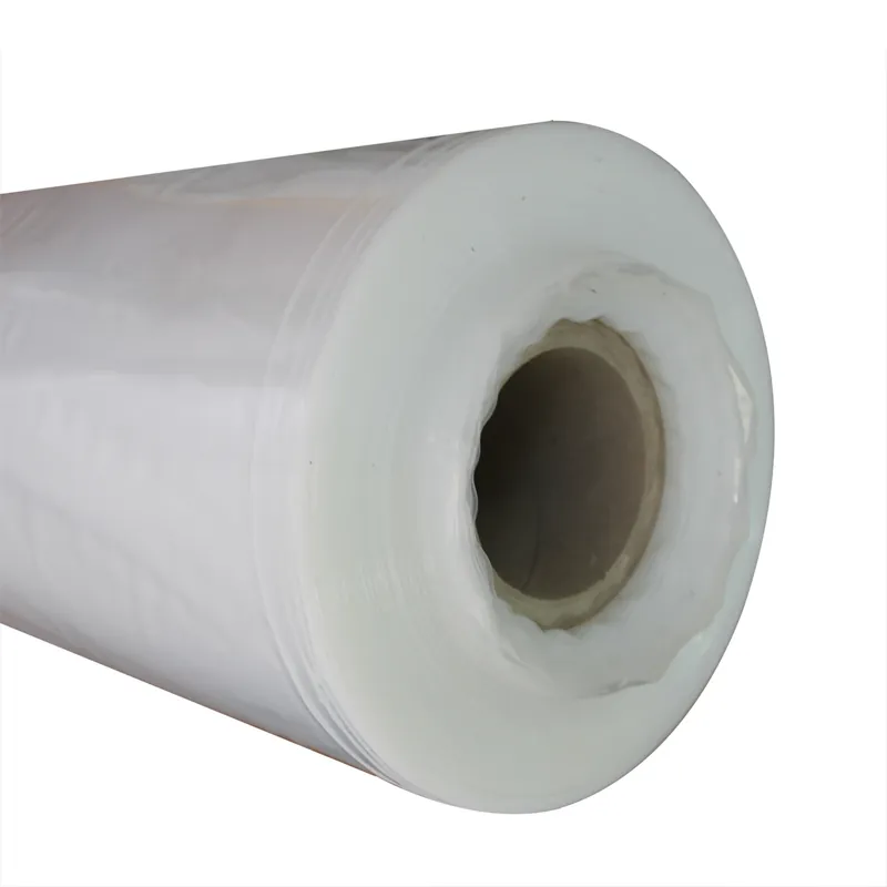 Foglia Neutra polietilene FITT per copertura Foglia Neutra polietilene FITT per copertura Echome Veilige Betaling