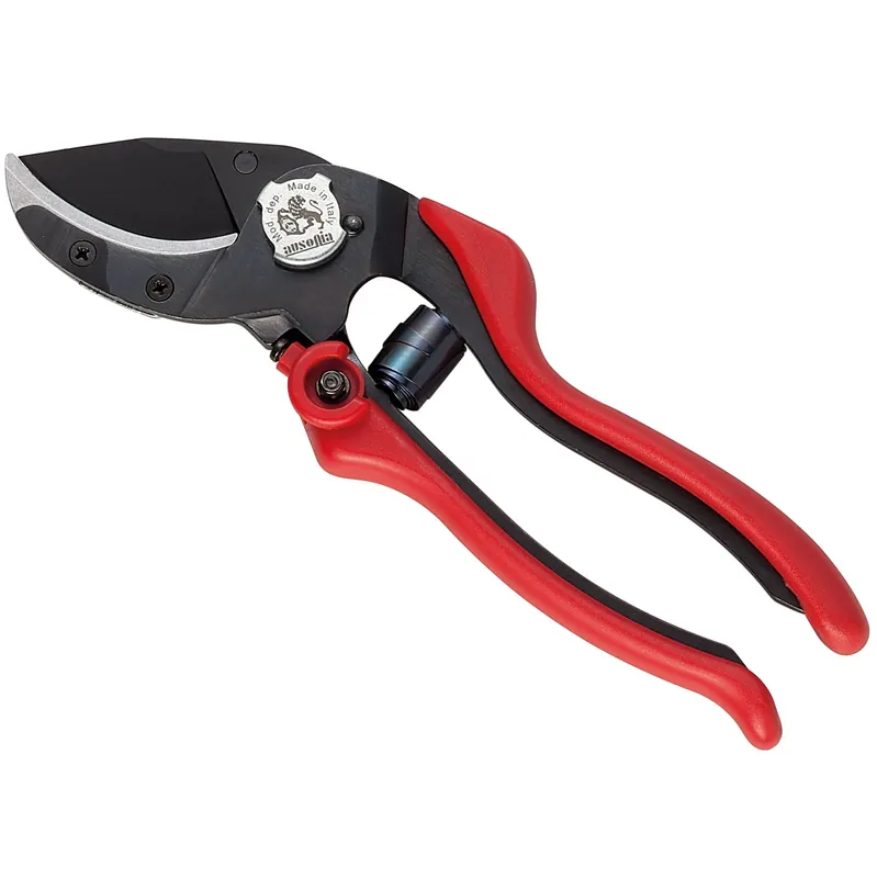 Meest Verkocht Forbice professionale acciaio frutticoltura olicoltura Evo 6 Ausonia Forbice professionale acciaio frutticoltura olicoltura Evo 6 Ausonia Echome
