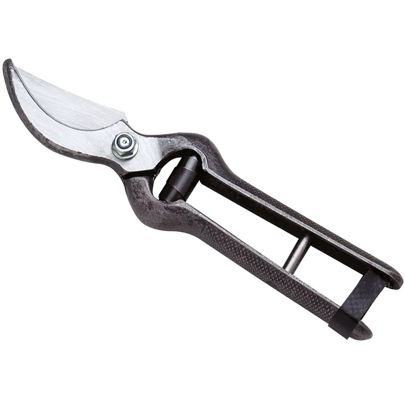 Direct Beschikbaar Forbice vigna professionale acciaio Garden+ Ausonia 19 cm