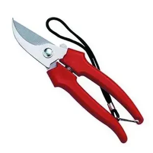 Fabrieksprijs Forbice giardino acciaio inox Garden Ausonia Forbice giardino acciaio inox Garden Ausonia Echome