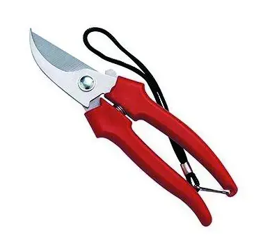 Fabrieksprijs Forbice giardino acciaio inox Garden Ausonia Forbice giardino acciaio inox Garden Ausonia Echome