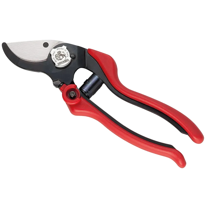 Korting Forbice professionale acciaio vigna Evo 2 Ausonia Forbice professionale acciaio vigna Evo 2 Ausonia Echome