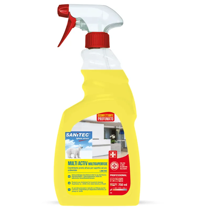 Direct Verzonden Disinfettante superfici Multiactiv Sanitec Italchimica Disinfettante superfici Multiactiv Sanitec Italchimica Echome